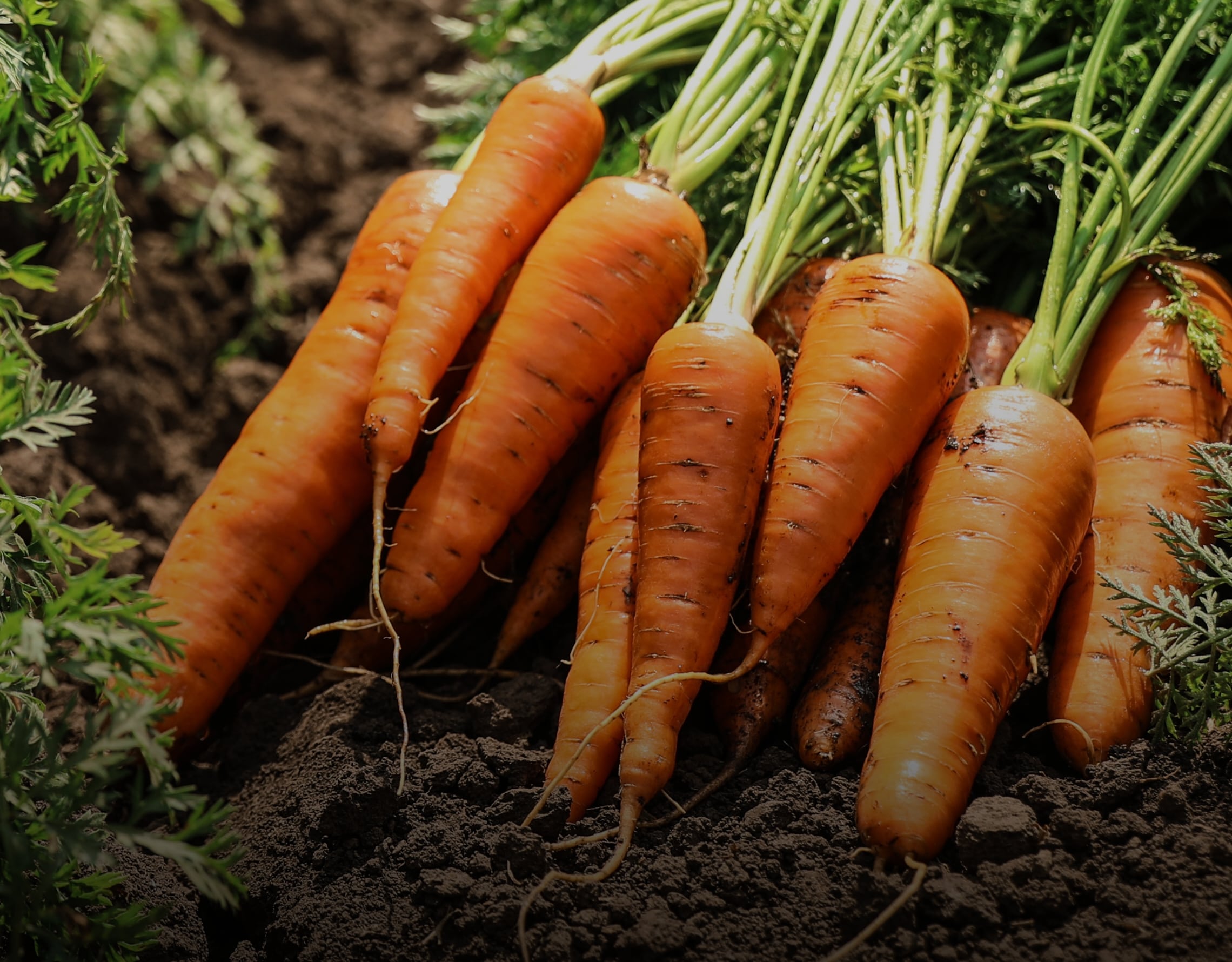 Superior Product 이미지