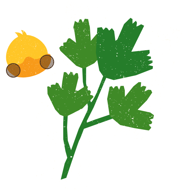 브랜드 이미지2